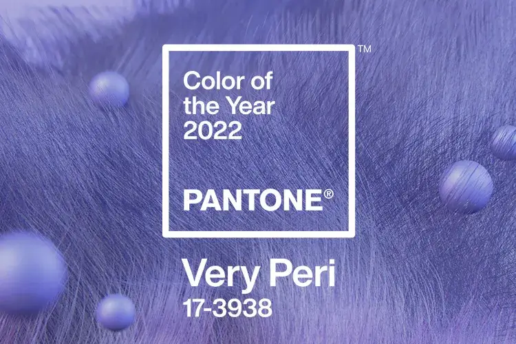 trending brand colors 2022 local view
